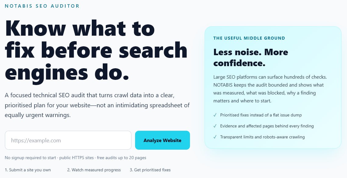 NOTABIS SEO Auditor homepage showing the website audit form and practical technical SEO audit description.